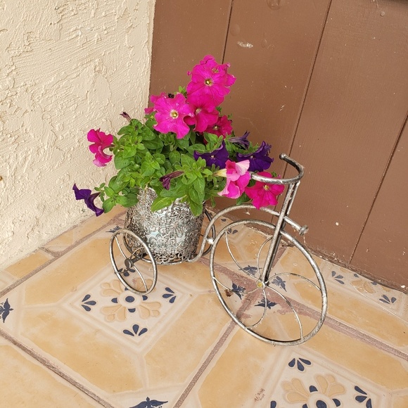 Meet your Posher, Edith - Picture 1 of 1